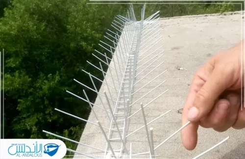 مكافحة الحمام بالرياض مع الضمان مكافحة الحمام بالرياض مع الضمان