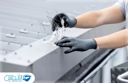 ارخص مكافحة حمام بالرياض ارخص مكافحة حمام بالرياض