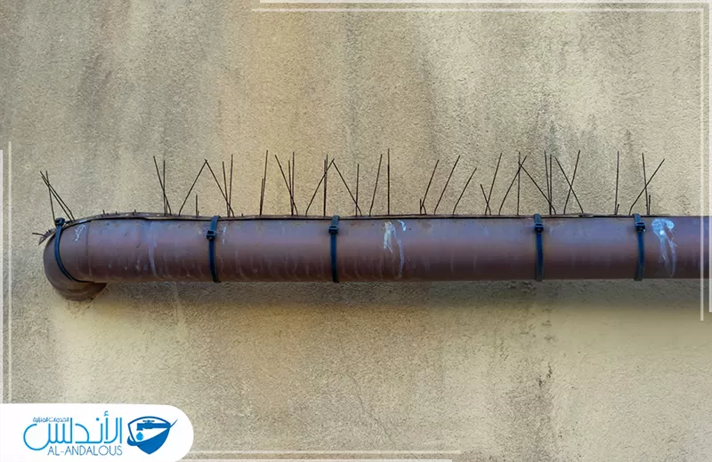 طارد الحمام من الشبابيك بالرياض