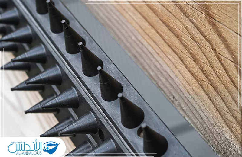 القضاء على حشرات الحمام بالرياض القضاء على حشرات الحمام بالرياض