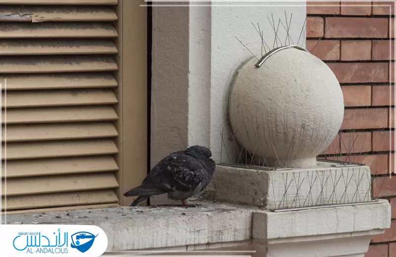 ارخص تركيب طارد حمام بالرياض ارخص تركيب طارد حمام بالرياض