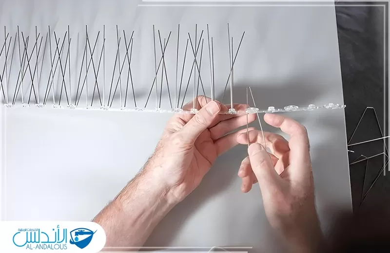 شركة مكافحة الحمام بالرياض