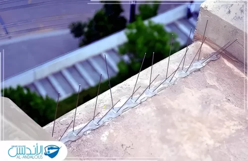 مكافحة الحمام بالرياض مكافحة الحمام بالرياض