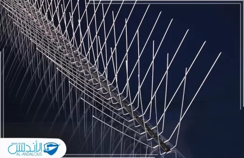 افضل مكافحة الحمام بالرياض افضل مكافحة الحمام بالرياض