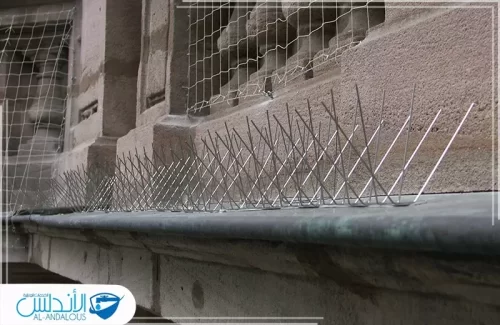 فني مكافحة الحمام بالرياض فني مكافحة الحمام بالرياض