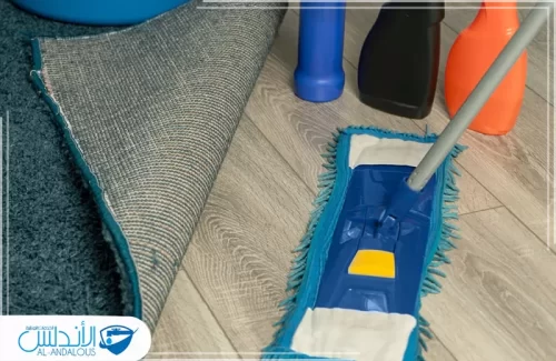 شركة تنظيف منازل بالساعة شمال الرياض شركة تنظيف منازل بالساعة شمال الرياض