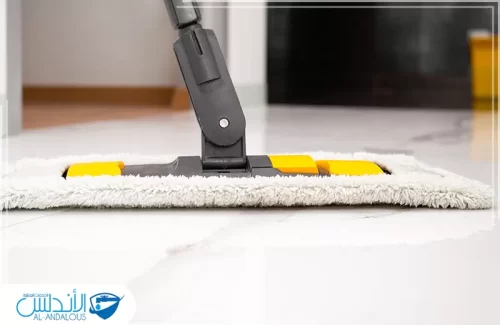 شركة تنظيف بيوت شمال الرياض شركة تنظيف بيوت شمال الرياض