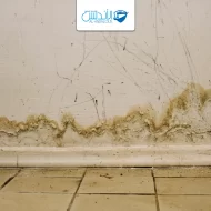 تسرب الماء في الحائط