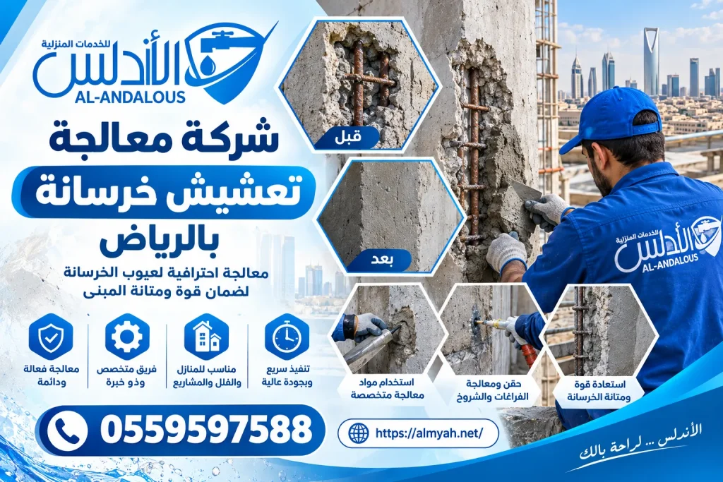 شركة معالجة تعشيش خرسانة بالرياض